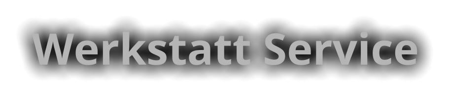 Werkstatt Service